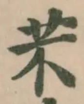 芣 위치 확인됨