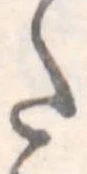 𛁠 위치 확인됨