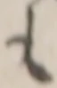 글자 も