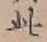 文字此