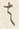 𡨸は