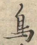鳥 위치 확인됨