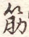 筋 위치 확인됨