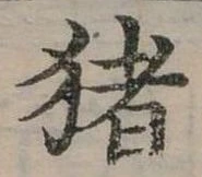 豬 위치 확인됨