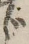 位置定マレルじ