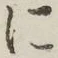 글자 に
