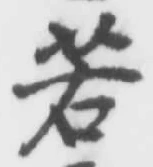 글자 若
