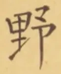 文字野