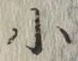 글자 小
