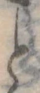 位置 確認된 と