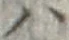 字ハ