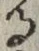 文字 る