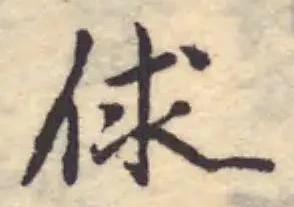 俅の位置