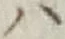 字ハ