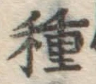 글자 種