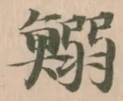 Đã định vị 鰯