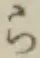 文字ら