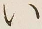 字い