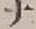 文字 ナ
