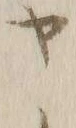 字ト