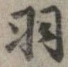 羽の位置
