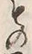 𡨸も