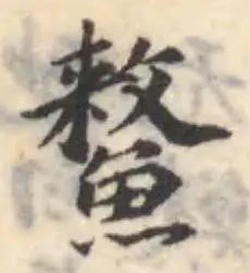 𩻜の位置