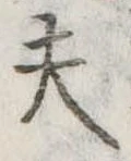 Đã định vị 夫