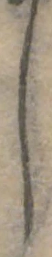 𛁅 위치 확인됨