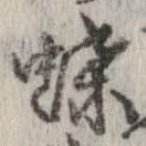 已定位蝶
