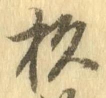 位置定マレル杉