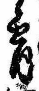 Đã định vị 宵