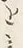 Character を
