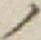 字ノ