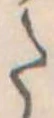𛁠 위치 확인됨