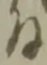 置 위치 확인됨
