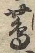 蔦 위치 확인됨
