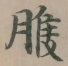 𦞈 위치 확인됨