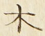 𡨸木