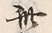 文字此