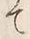 “て”字