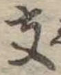 支の位置