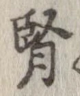 腎 위치 확인됨