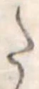 Đã định vị 𛁠