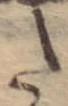Đã định vị 𛁠