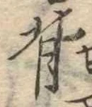 背 위치 확인됨