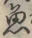 魚 위치 확인됨