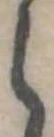 𛃰 위치 확인됨