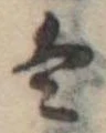 Đã định vị 𛂣