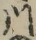 𡨸川